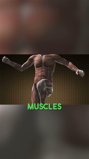 Stop Stretching Like This After 40 Do THIS Instead part 2
