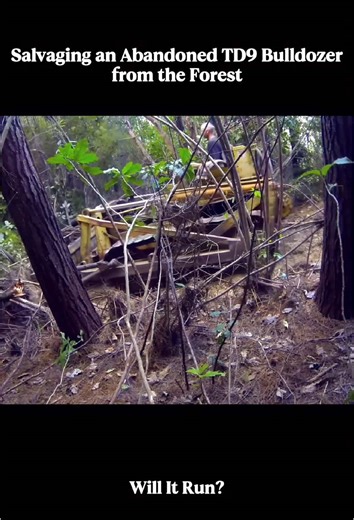 Salvaging an Abandoned TD9 Bulldozer in the Forest
