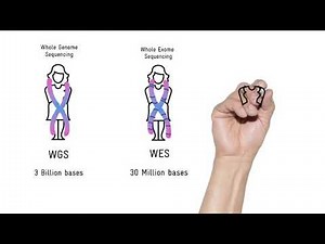 Whole genome, Exome or targetted sequencing