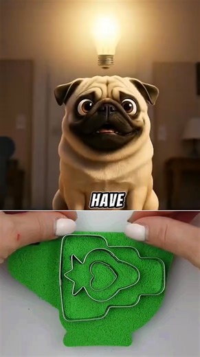 11K views · 149 reactions | I'm Going To Pull The Best Prank Ever 藍 #pug #puppy #kitten #cat | facts KS | Facebook