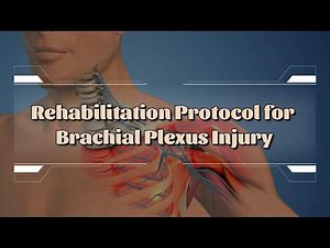 How to Recover from Brachial Plexus Injury: A Step-by-Step Rehabilitation Guide