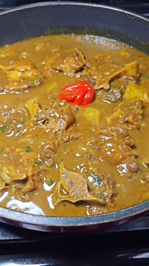 curry oxtail 😋