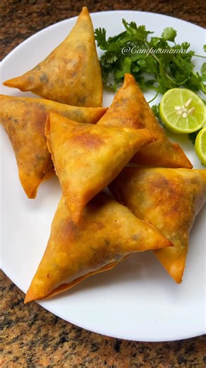 LUCIA KANUNU on Instagram: "Samosa series: Episode 6 - Fish Samosas Welcome to yet another episode of my samosa series. Today we’re making these yummy fish samosas. I wanted the fish flavour to really stand out so I used minimal spice but feel free to tweak it as you please. You’ll need: *fish fillet (I used tilapia) *Salt to taste *tsp of Black pepper *Juice of 1 lemon *2 tbsp oil or butter (for pan frying) For the sauce: *2-3 tbsp butter *one full garlic bulb, minced *Juice of 1 lemon *Fresh c