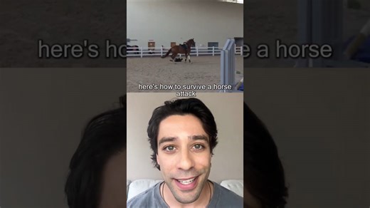 How to protect yourself from a dangerous horse attack