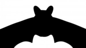 clip-1037777402-animation-bat-flies-camera-alpha-channel