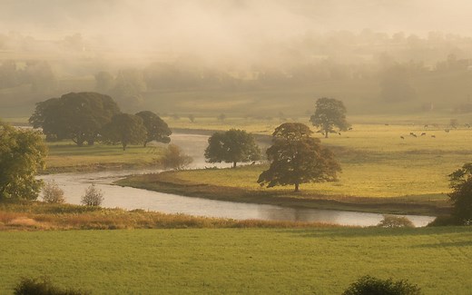 Upstream Thinking - CaBA