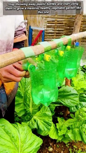 Secret Gardening Hack Using Recycled Bottles For Better Growth
