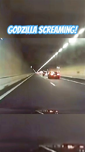 The TUNNEL can’t Handle THIS GTR //