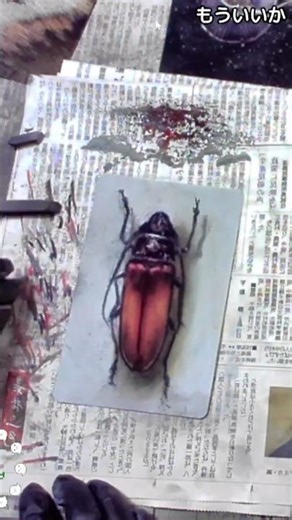 あたたかみ感じる虫イラスト、ふんわり優しいタッチ / Warmth in Bug Art, Soft and Gentle Touch #artshorts #insect #pastel #art