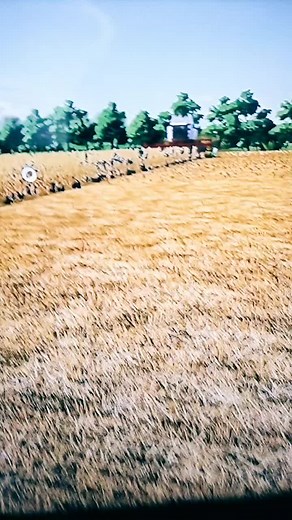 Wild._.Tim (@wild..tim)’s videos with original sound - XTR.ROcKop.41