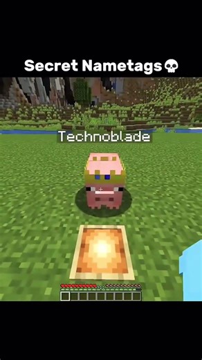 Secret nametag in #minecraft #ytshorts #trending #youtube #minecraftarmor