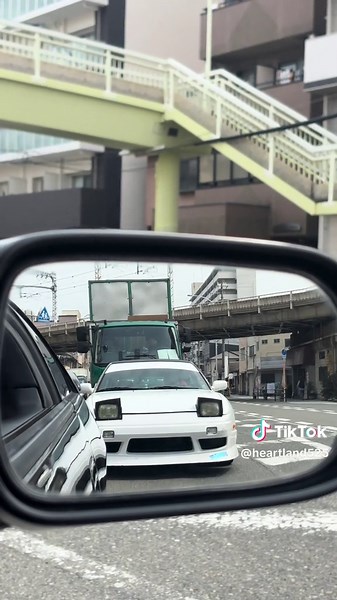 かわいいシルビアの魅力とおすすめポイント