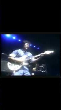 CASIOPEA -ASAYAKE #jazz #music #ライブ #bass