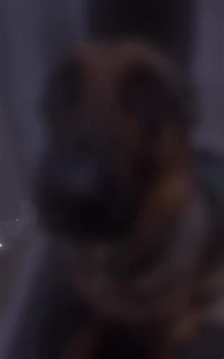 Hm hmm hmm hm hm hmmmmmmhmmmmmm hmmm #hmhmhmhmhmhm