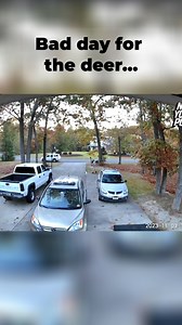 Imagine this. Right when you're about to sell your pristine 2007 Chevy Silverado to some guy on Marketplace, a deer leaps over two cars and smashes into the bedside. All while parked in your driveway. Who gets to fix the bed? Whenever you feel like you have bad luck, remember stuff like this. #badluck #2007ChevySilverado #fail #fails #offroad #offroading #offroadxtreme | Offroad Xtreme