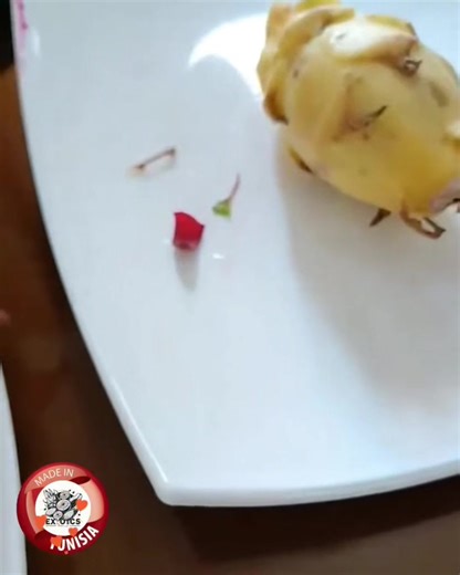 11K views · 198 reactions | Exotics | Exotics | Facebook