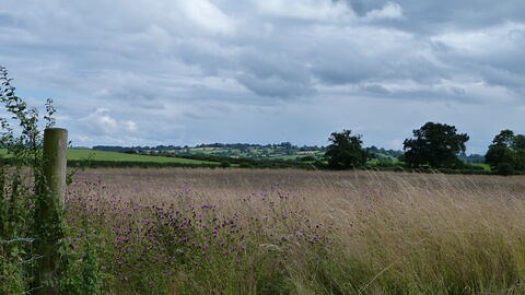 About | Cheshire Wildlife Trust