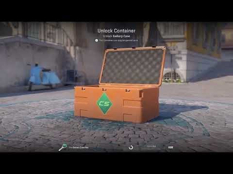 CS2 Gallery Case Opening: 20 Chances for a BIG Win! | Huge Profit or Massive Loss?
