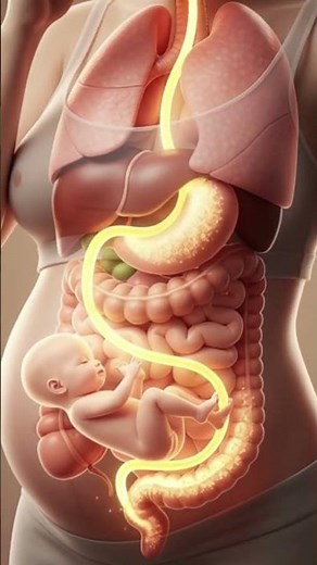 pregnancy animation process #pregnant #duringpregnancy #3danimation #pregnancy