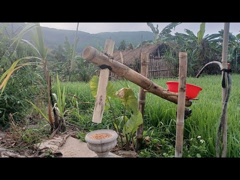 water-powered corn mill