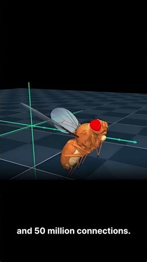 This Digital Brain Started Moving on Its Own