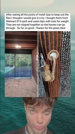 I Bought A $15 Mesh Tarp From Walmart and Used Clips With Nuts For Weight To Keep Out The Flies.