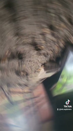 The Hidden World Under Asda Bridge Revealed