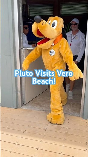 Pluto makes a Surprise Visit at Disney’s Vero Beach Resort #disney #funny
