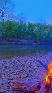 #fyp #bushtok #fblifestyle | Cecil Cannon