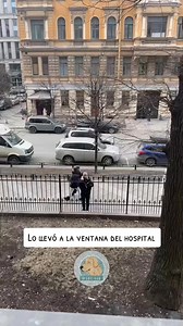 940K views · 72K reactions | Perros Y Gatos on Reels | Facebook