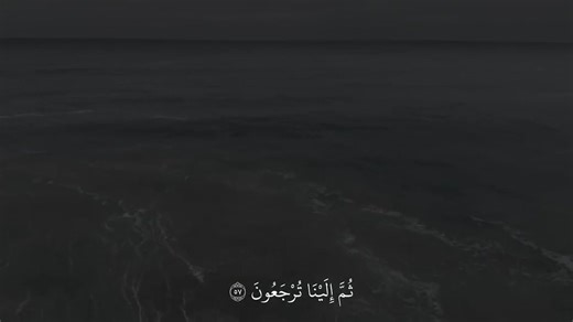 🤍 | عبدالرحمن مسعد - abdulrhman mosad