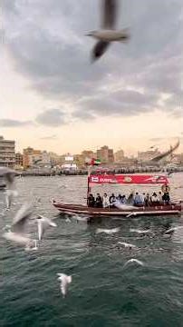 Year-end sunset capture. 31.12.2025. #dubai #fazza #uae #faz3