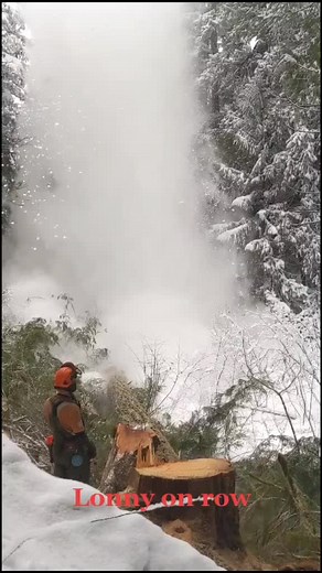 Tree Falling Techniques by Tyroan Wallace