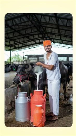 Amul marketing strategy case study