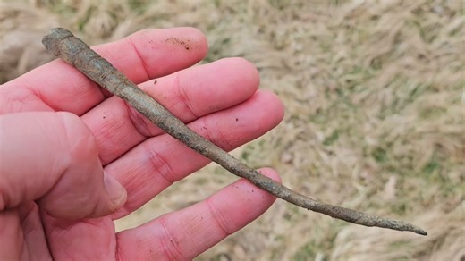 He crossed a river to search an ancient field - then pulled out a 3,000-year-old object