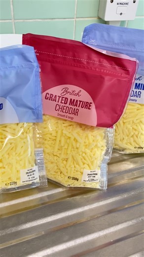 Cheese and Onion Spring Rolls Recipe