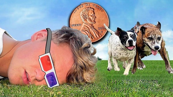 How Ryan Trahan Survived On $0.01 For 30 Days (part 2)