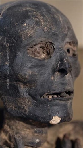 Inside a 2000 Year Old Mummy: What They Found Will Shock You #egypt #mummies #shorts
