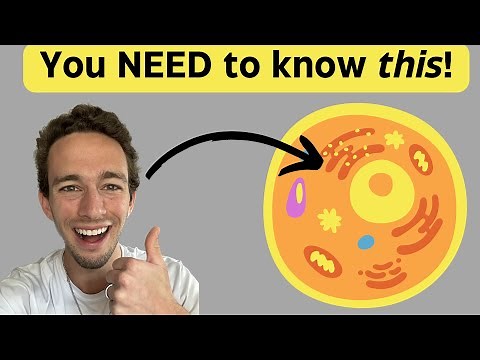 Membrane Bound Organelles in 5 minutes!