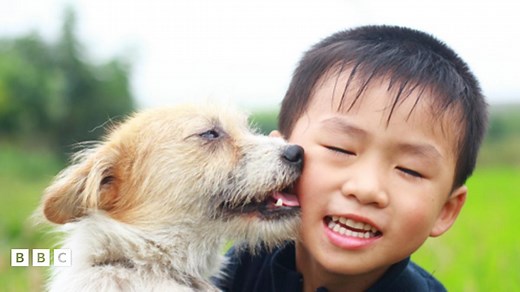 Teaching kids to care for animals