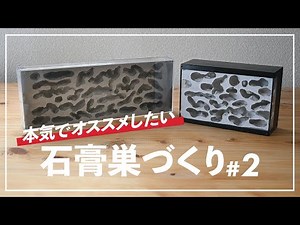 [Ant keeping] How to make a vertical plaster nest # 2 Completed