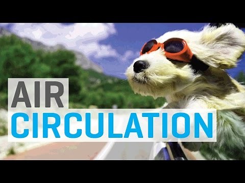 Air Circulation in the Indoor Garden / Grow Room