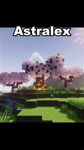 Which Shader Is The Best?