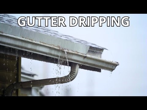 Gutter Dripping Water Sound Effect