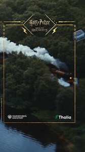 5.9K views · 96 reactions | ✨ Der Hogwarts Express macht Halt bei...