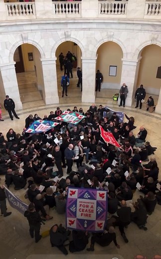 ***Breaking*** Hundreds of Mennonites gathered today with Mennonite Action in DC and about 150 were arrested while singing and praying as they participated in the rich tradition of nonviolent direct action — calling for a ceasefire in the Congress rotunda. Watch the video - it’s so moving. It is powerful to see this particular witness, from a tradition of Christianity known for its historic commitment to nonviolence. Also, I think their posters are actually quilts - which is totally awesome, and