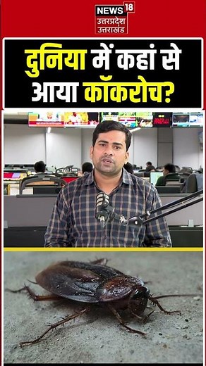 History of Cockroaches: डायनासोर मर गए, पर कॉकरोच कैसे बच गए? | Cockroach Evolution History