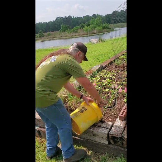 This Is How You Build a Garden That Feeds Itself #gardening #farming