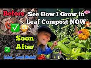 FREE SOIL How to Make Compost from Leaves EASY, Leaf Mold SUPER for Container Gardening Potting Soil