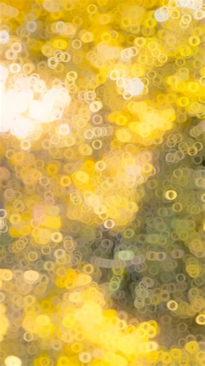 S u m o n on Instagram: "Tag 🥲💔🏷️ .#instagram #instadaily #explorepage #trending #viralvideos #love #explore #cutie #funny"